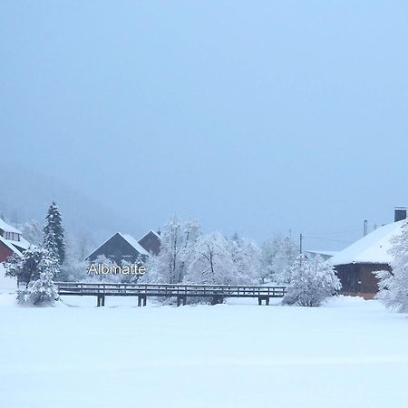 B1 Albmatte-Fewo Sauna, Hallenbad Aussenbecken Massagen Nebenan Menzenschwand-Hinterdorf Eksteriør bilde