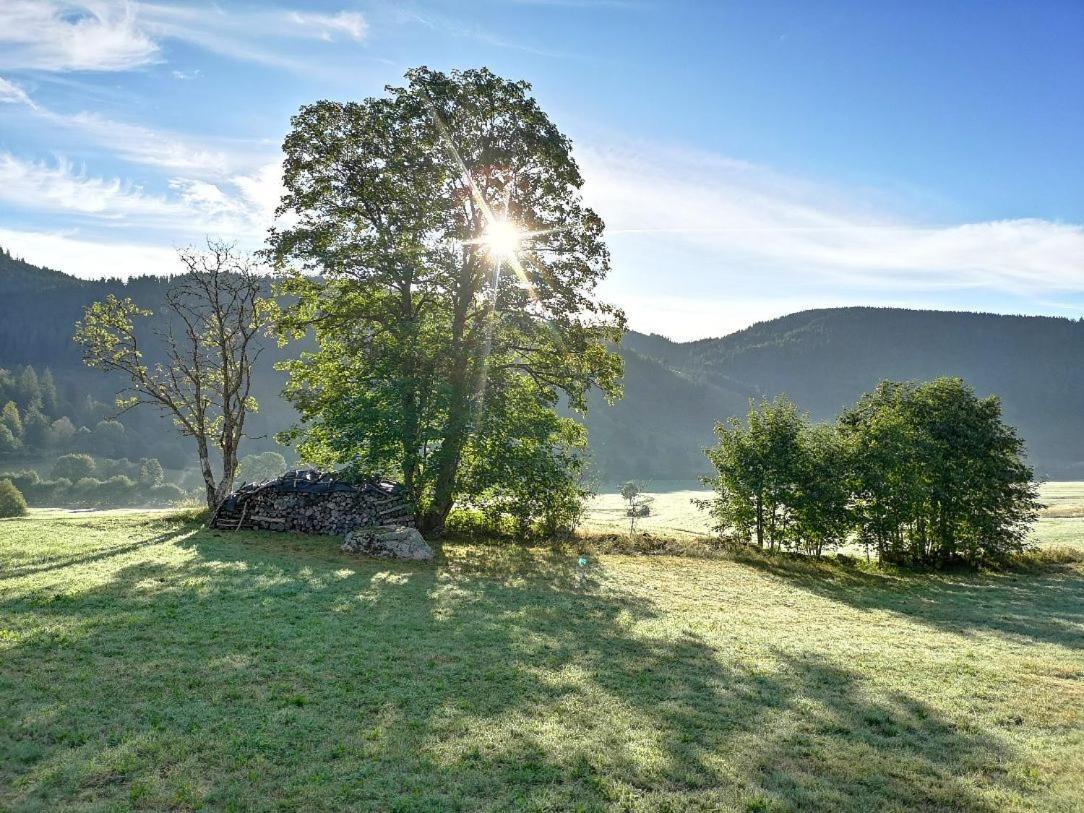 B1 Albmatte-Fewo Sauna, Hallenbad Aussenbecken Massagen Nebenan Menzenschwand-Hinterdorf Eksteriør bilde