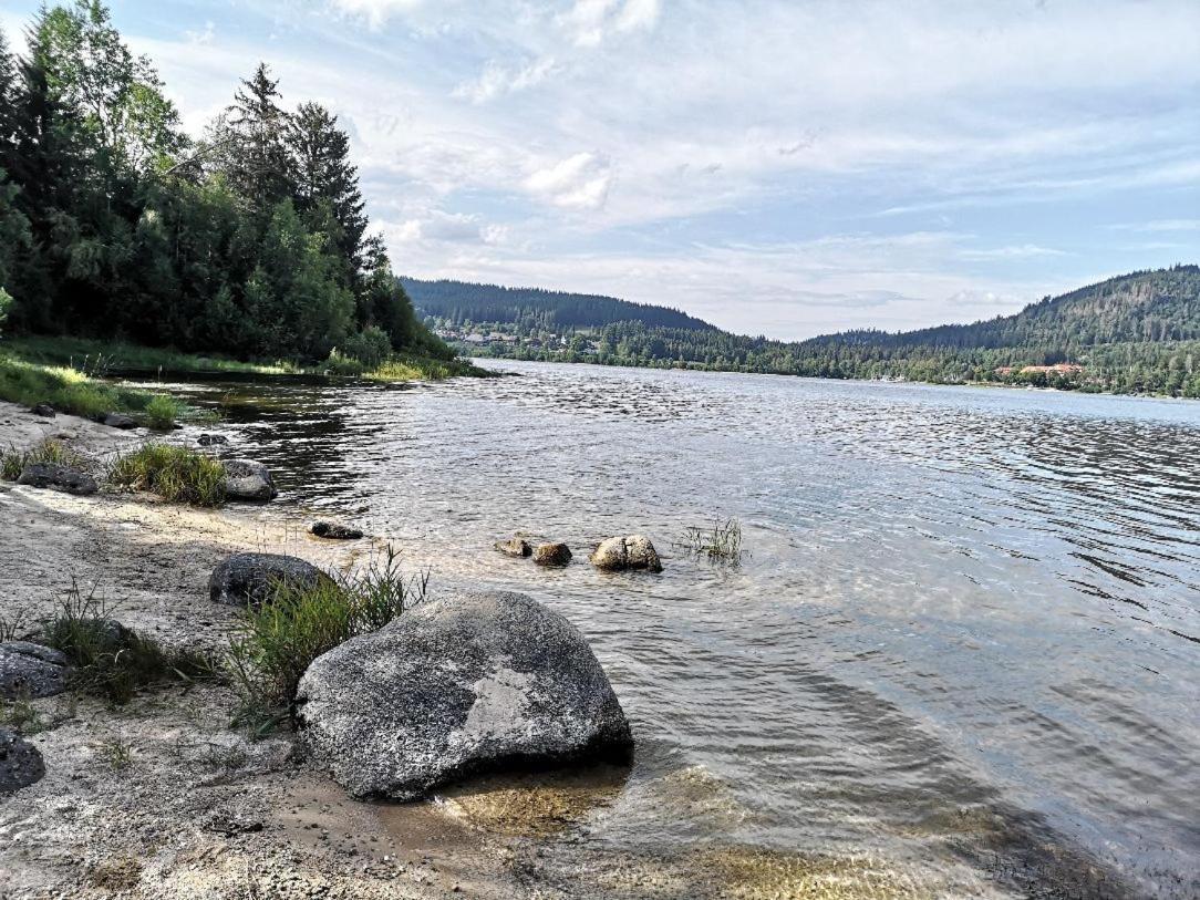 B1 Albmatte-Fewo Sauna, Hallenbad Aussenbecken Massagen Nebenan Menzenschwand-Hinterdorf Eksteriør bilde