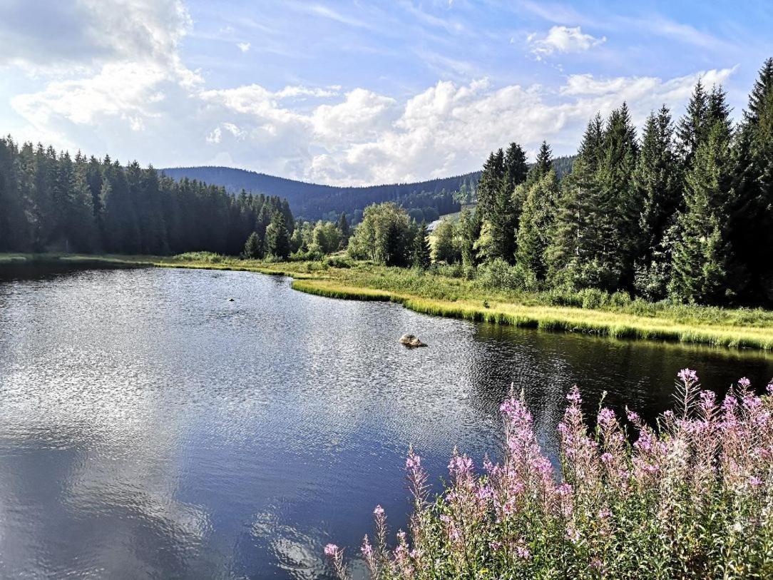 B1 Albmatte-Fewo Sauna, Hallenbad Aussenbecken Massagen Nebenan Menzenschwand-Hinterdorf Eksteriør bilde