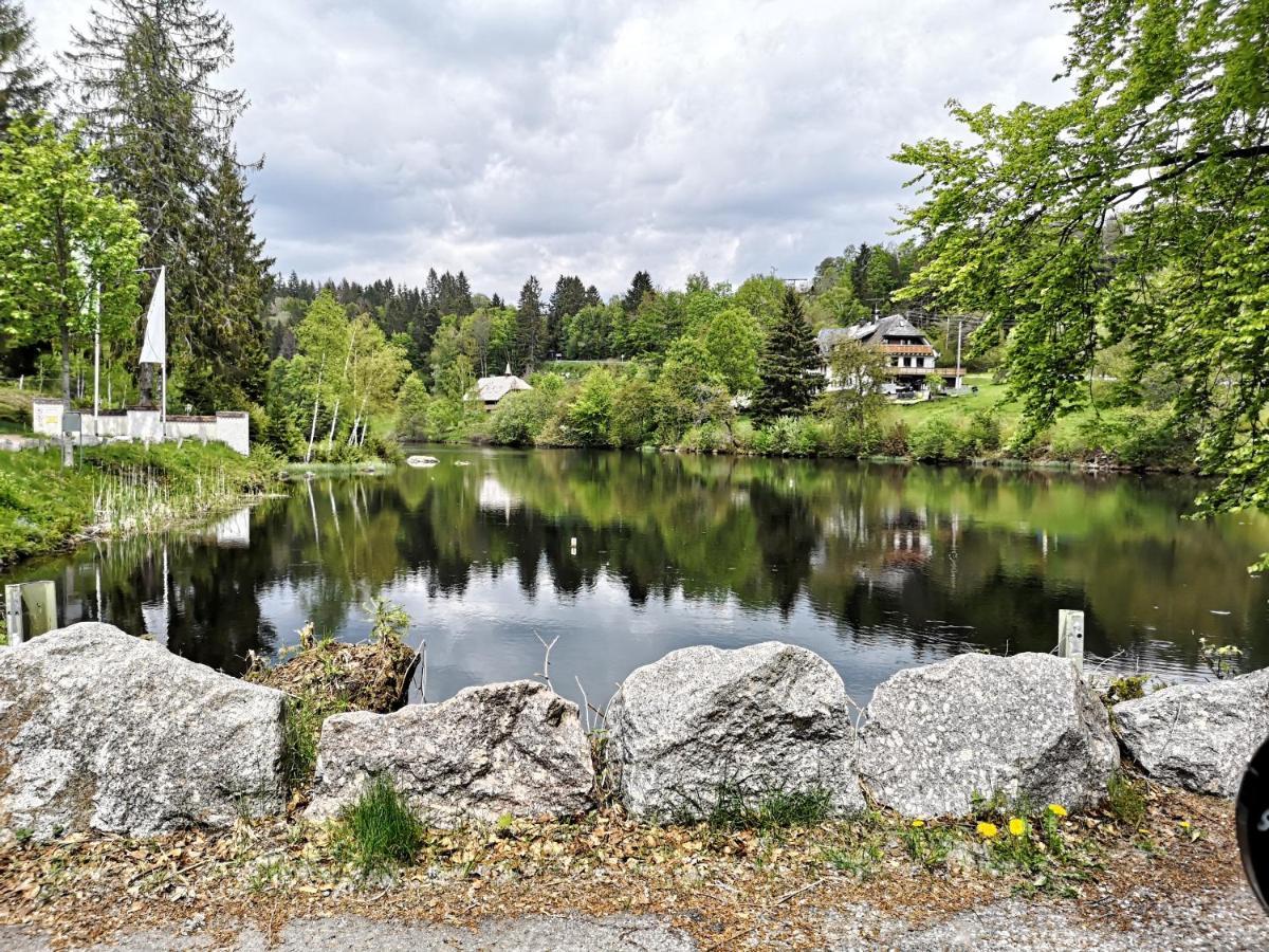 B1 Albmatte-Fewo Sauna, Hallenbad Aussenbecken Massagen Nebenan Menzenschwand-Hinterdorf Eksteriør bilde