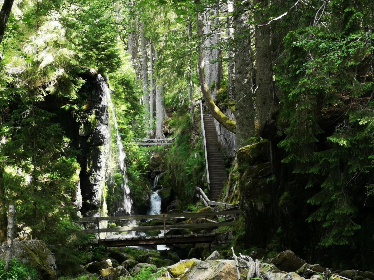 B1 Albmatte-Fewo Sauna, Hallenbad Aussenbecken Massagen Nebenan Menzenschwand-Hinterdorf Eksteriør bilde