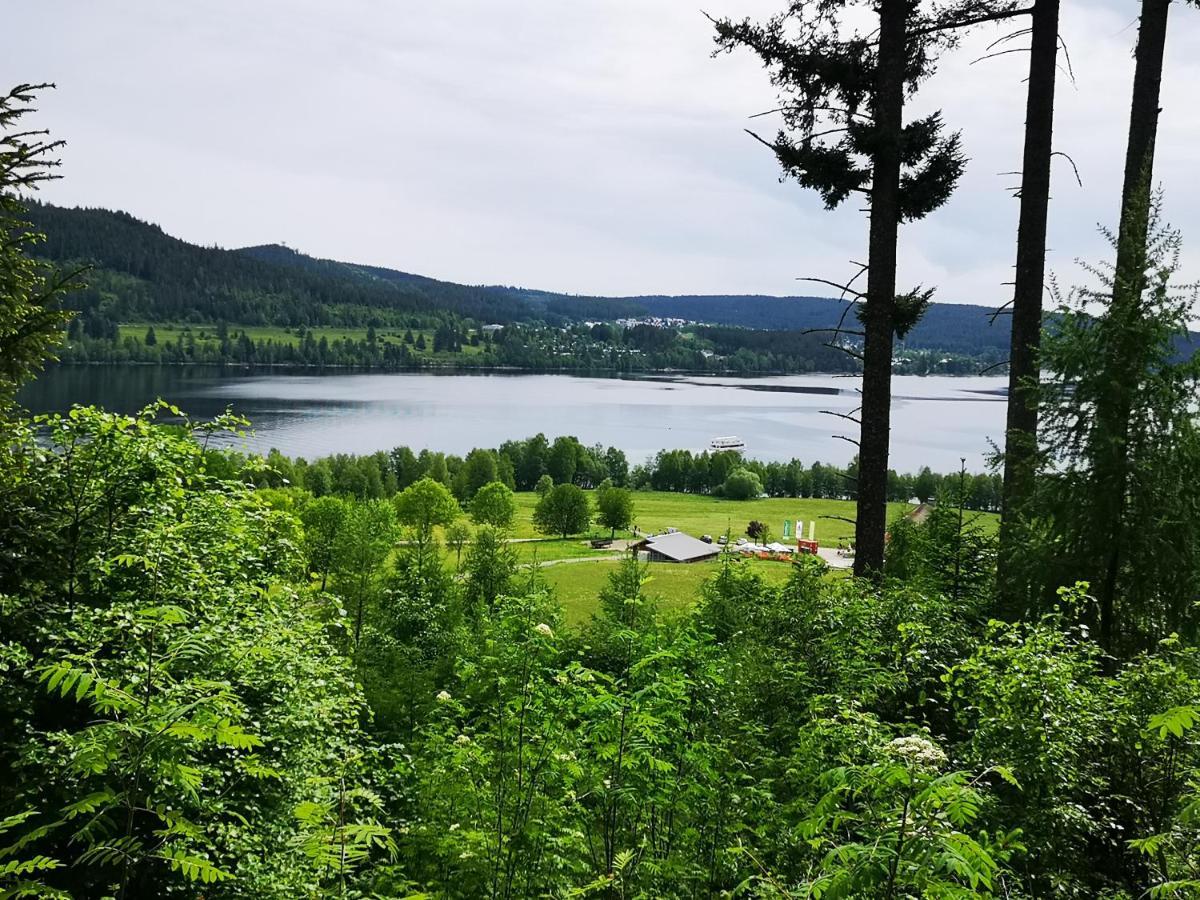 B1 Albmatte-Fewo Sauna, Hallenbad Aussenbecken Massagen Nebenan Menzenschwand-Hinterdorf Eksteriør bilde