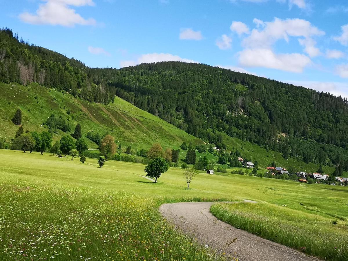 B1 Albmatte-Fewo Sauna, Hallenbad Aussenbecken Massagen Nebenan Menzenschwand-Hinterdorf Eksteriør bilde