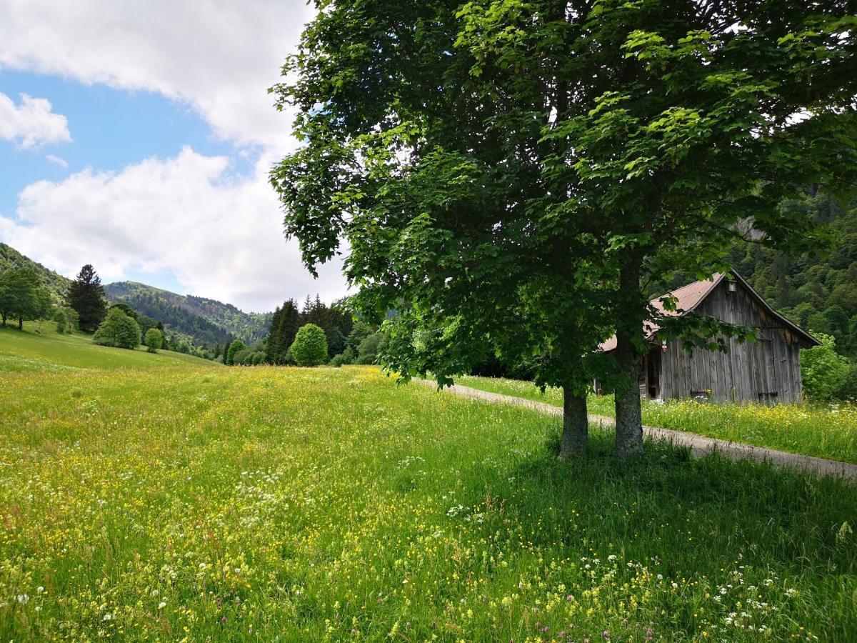 B1 Albmatte-Fewo Sauna, Hallenbad Aussenbecken Massagen Nebenan Menzenschwand-Hinterdorf Eksteriør bilde