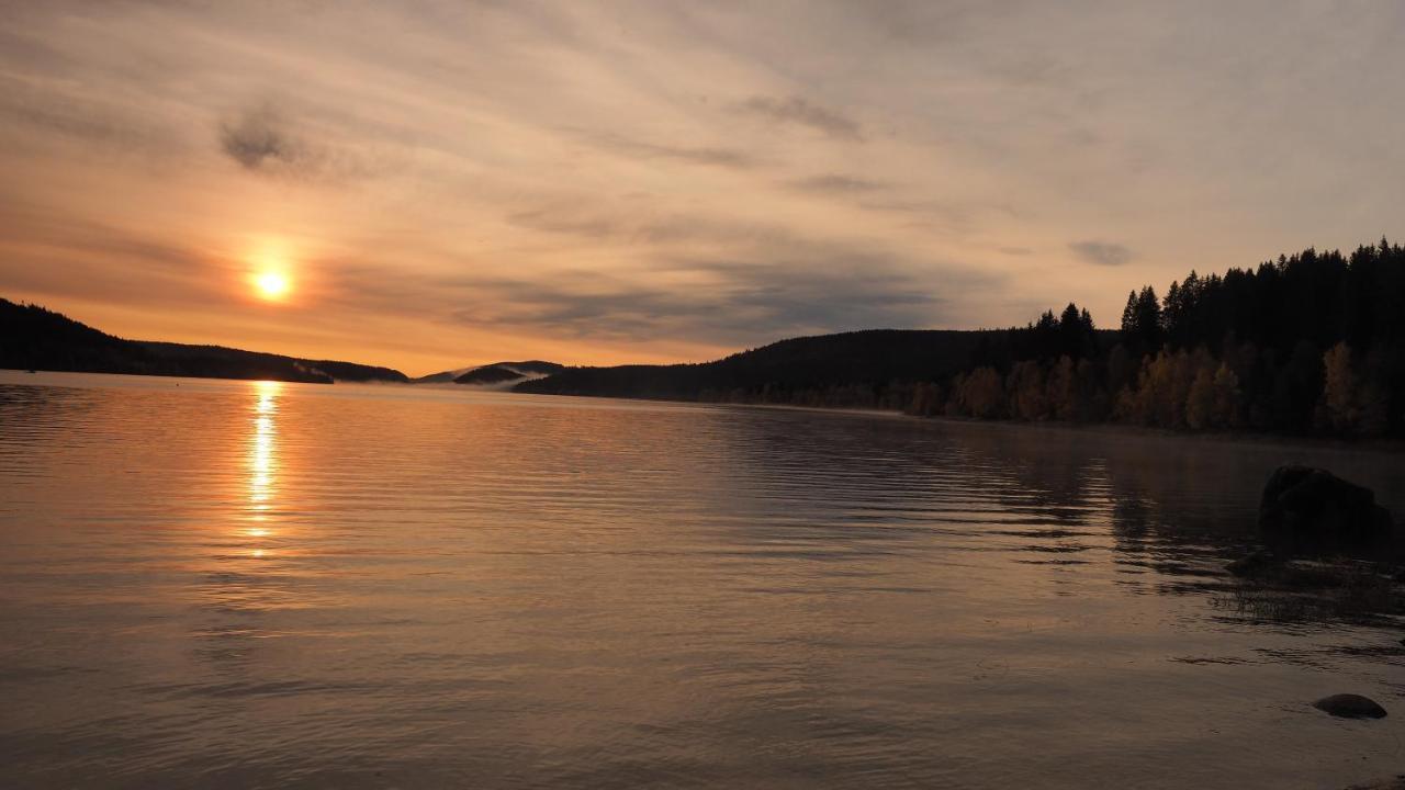 B1 Albmatte-Fewo Sauna, Hallenbad Aussenbecken Massagen Nebenan Menzenschwand-Hinterdorf Eksteriør bilde