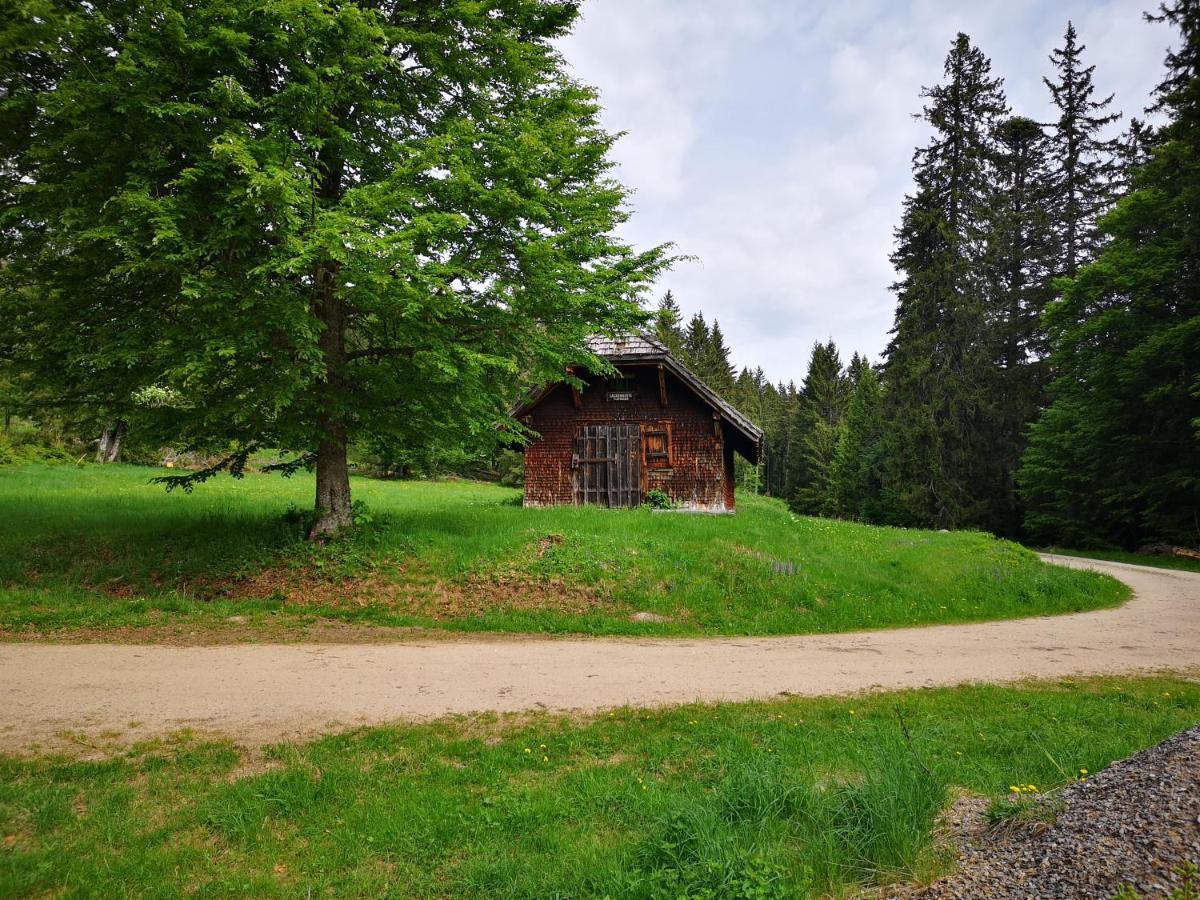 B1 Albmatte-Fewo Sauna, Hallenbad Aussenbecken Massagen Nebenan Menzenschwand-Hinterdorf Eksteriør bilde