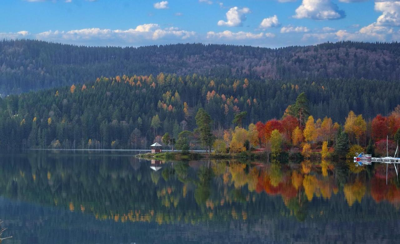 B1 Albmatte-Fewo Sauna, Hallenbad Aussenbecken Massagen Nebenan Menzenschwand-Hinterdorf Eksteriør bilde