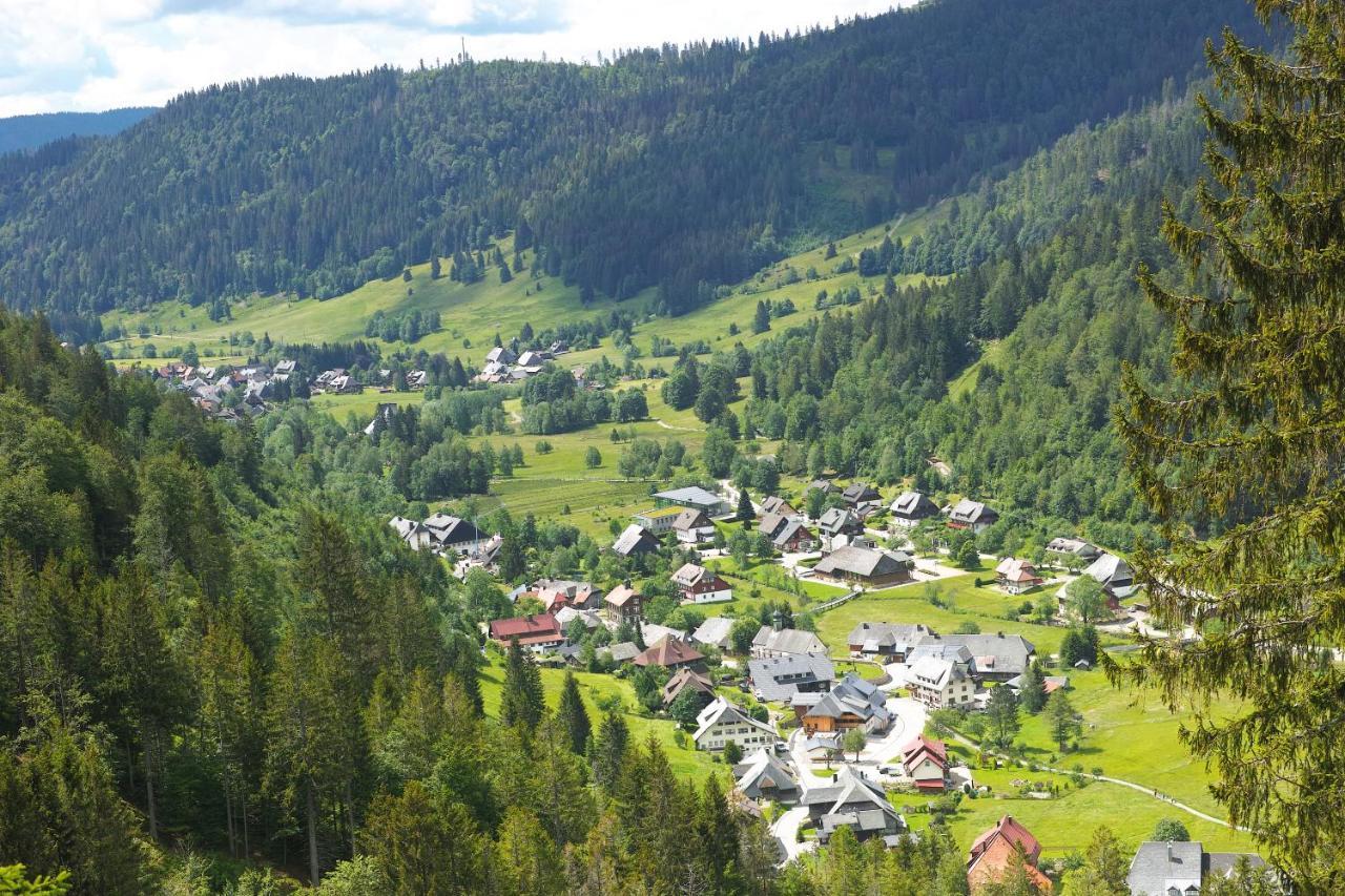 B1 Albmatte-Fewo Sauna, Hallenbad Aussenbecken Massagen Nebenan Menzenschwand-Hinterdorf Eksteriør bilde