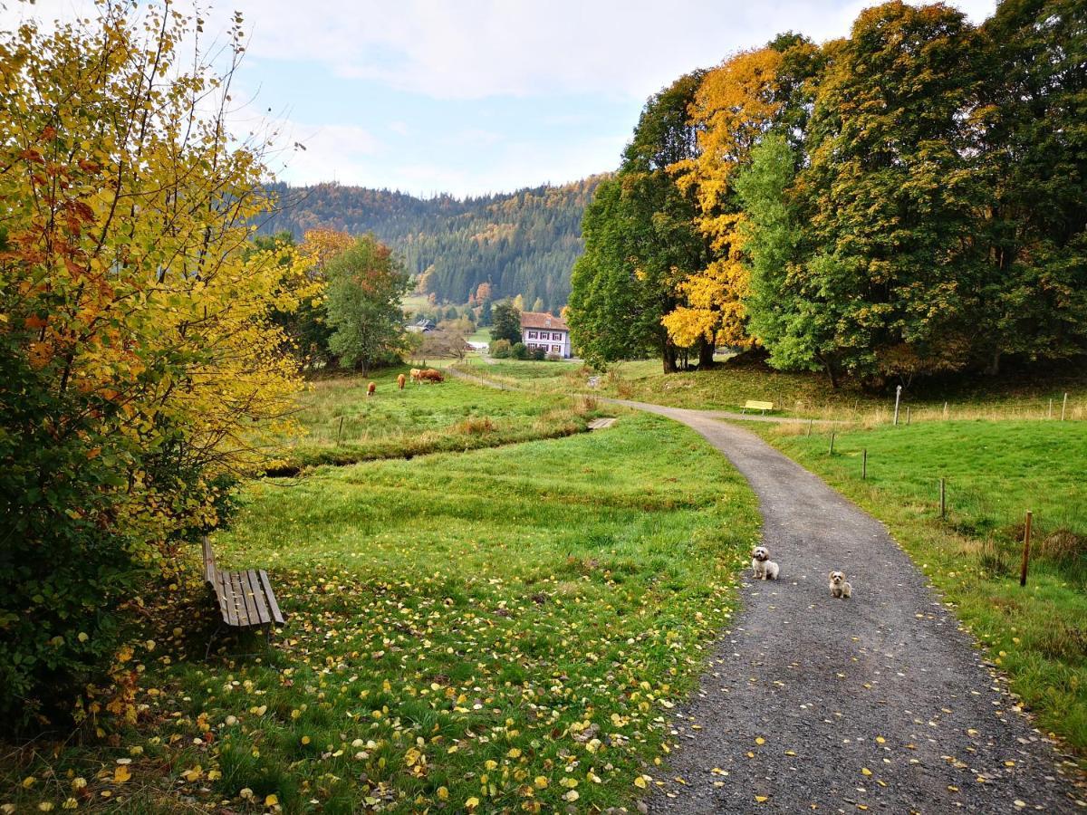 B1 Albmatte-Fewo Sauna, Hallenbad Aussenbecken Massagen Nebenan Menzenschwand-Hinterdorf Eksteriør bilde