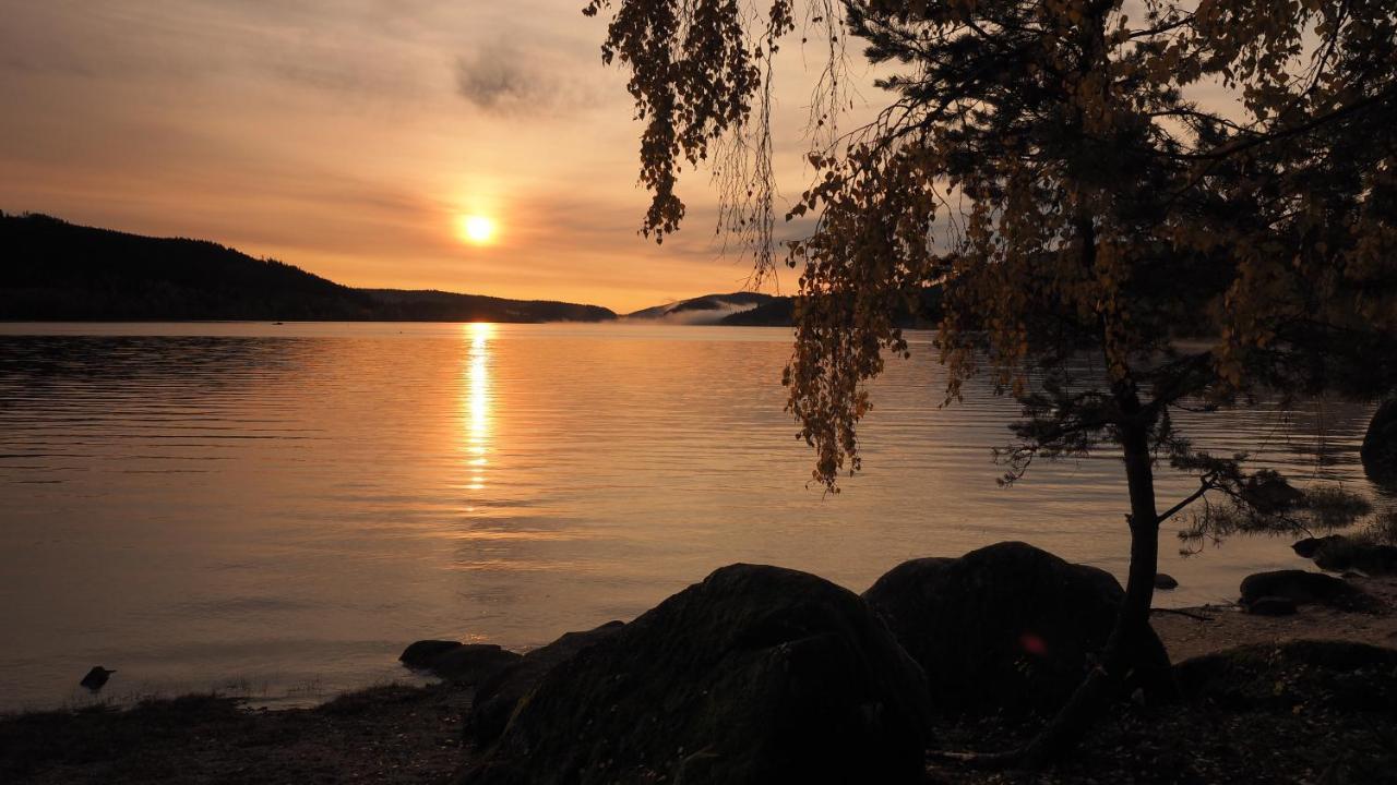 B1 Albmatte-Fewo Sauna, Hallenbad Aussenbecken Massagen Nebenan Menzenschwand-Hinterdorf Eksteriør bilde