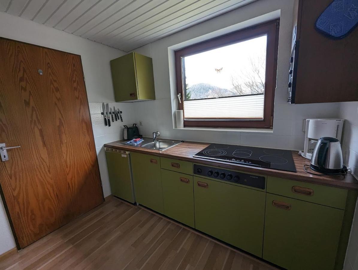 B1 Albmatte-Fewo Sauna, Hallenbad Aussenbecken Massagen Nebenan Menzenschwand-Hinterdorf Eksteriør bilde