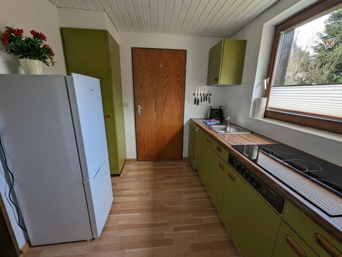 B1 Albmatte-Fewo Sauna, Hallenbad Aussenbecken Massagen Nebenan Menzenschwand-Hinterdorf Eksteriør bilde