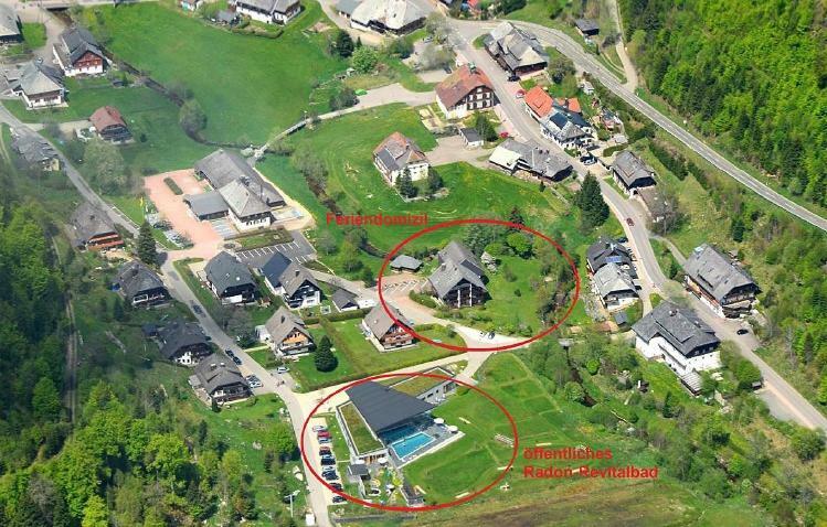 B1 Albmatte-Fewo Sauna, Hallenbad Aussenbecken Massagen Nebenan Menzenschwand-Hinterdorf Eksteriør bilde
