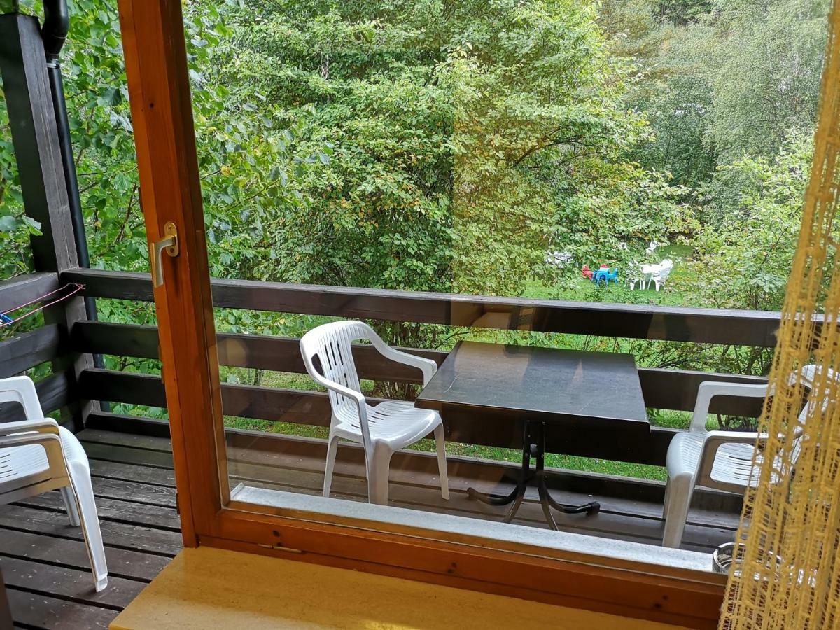 B1 Albmatte-Fewo Sauna, Hallenbad Aussenbecken Massagen Nebenan Menzenschwand-Hinterdorf Eksteriør bilde