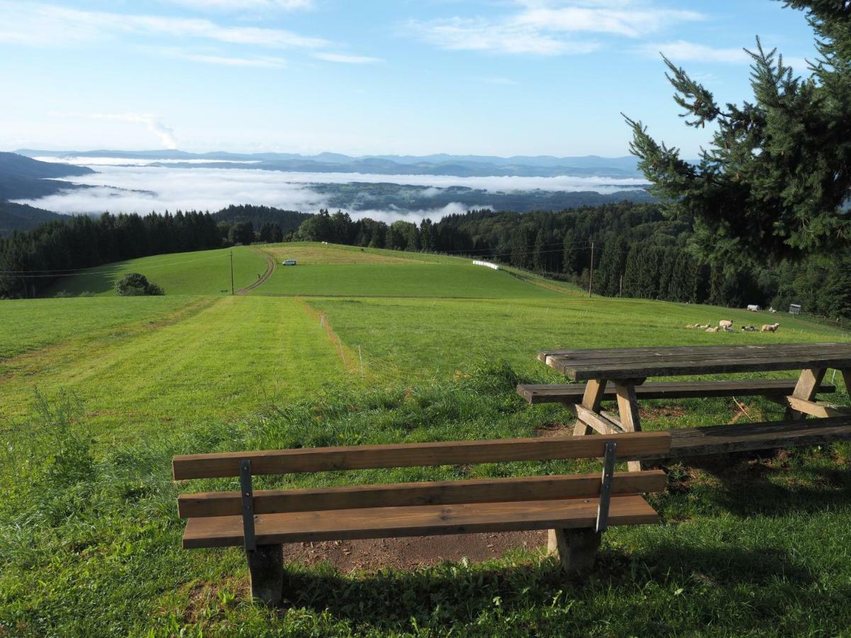 B1 Albmatte-Fewo Sauna, Hallenbad Aussenbecken Massagen Nebenan Menzenschwand-Hinterdorf Eksteriør bilde