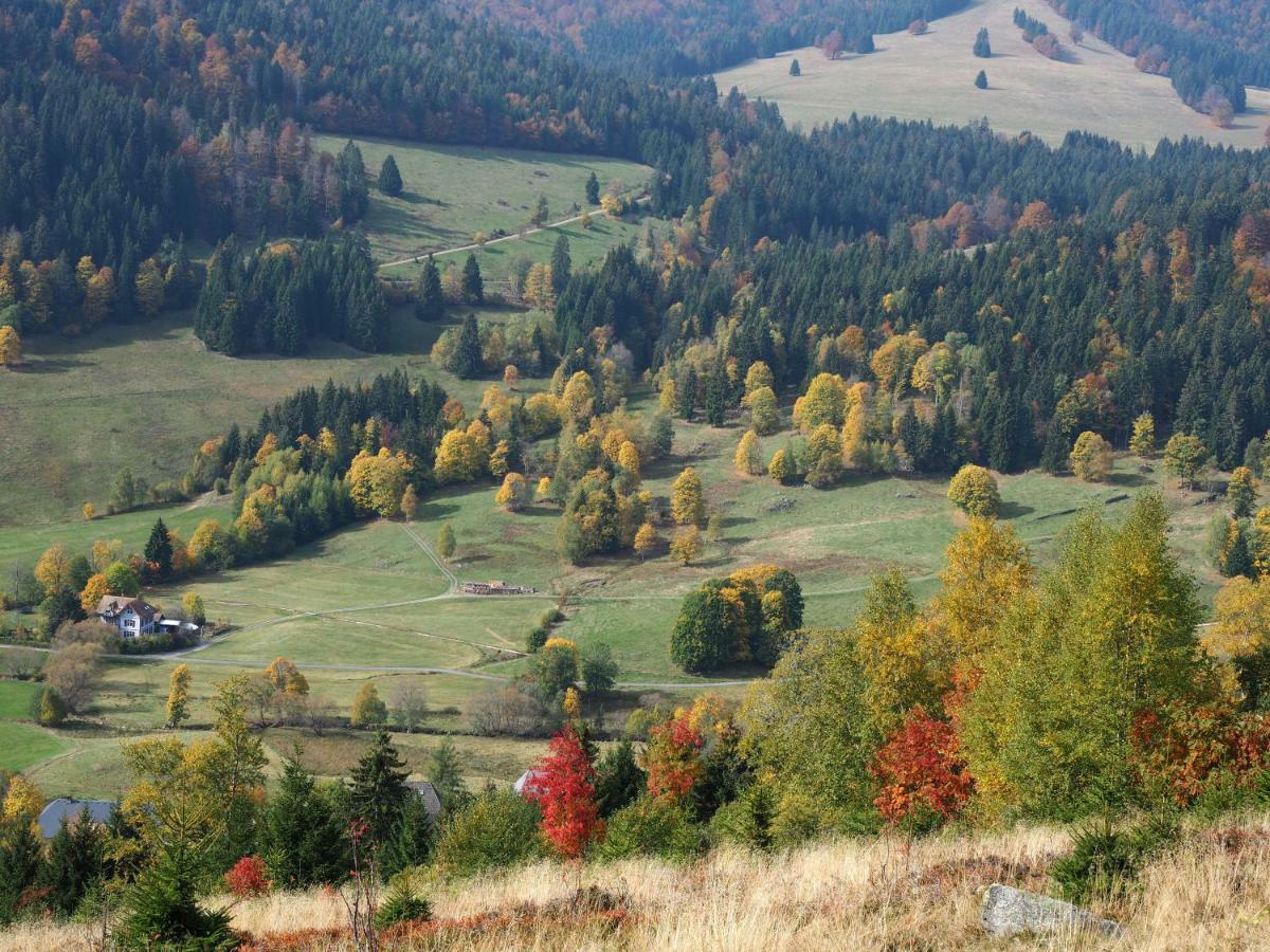 B1 Albmatte-Fewo Sauna, Hallenbad Aussenbecken Massagen Nebenan Menzenschwand-Hinterdorf Eksteriør bilde