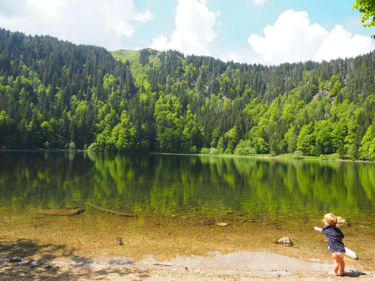 B1 Albmatte-Fewo Sauna, Hallenbad Aussenbecken Massagen Nebenan Menzenschwand-Hinterdorf Eksteriør bilde
