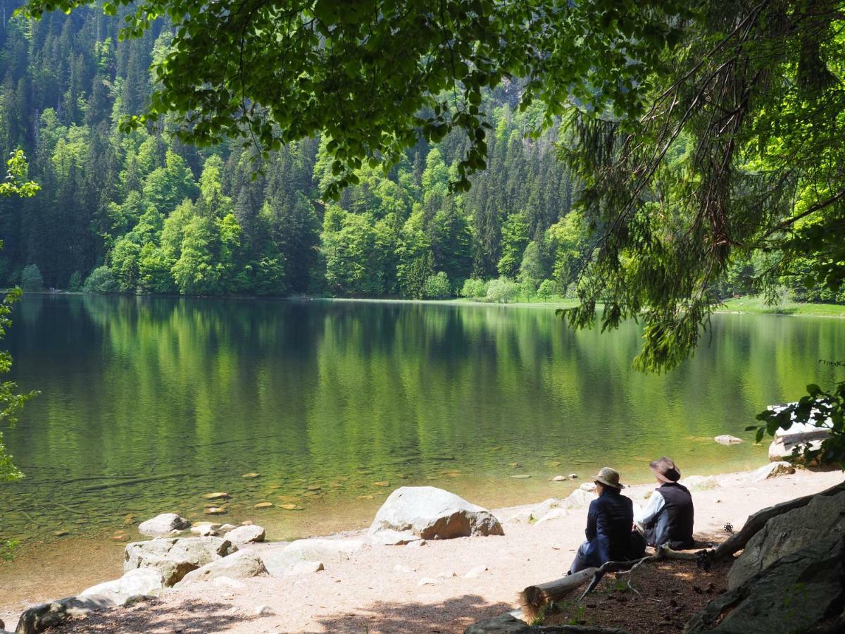 B1 Albmatte-Fewo Sauna, Hallenbad Aussenbecken Massagen Nebenan Menzenschwand-Hinterdorf Eksteriør bilde