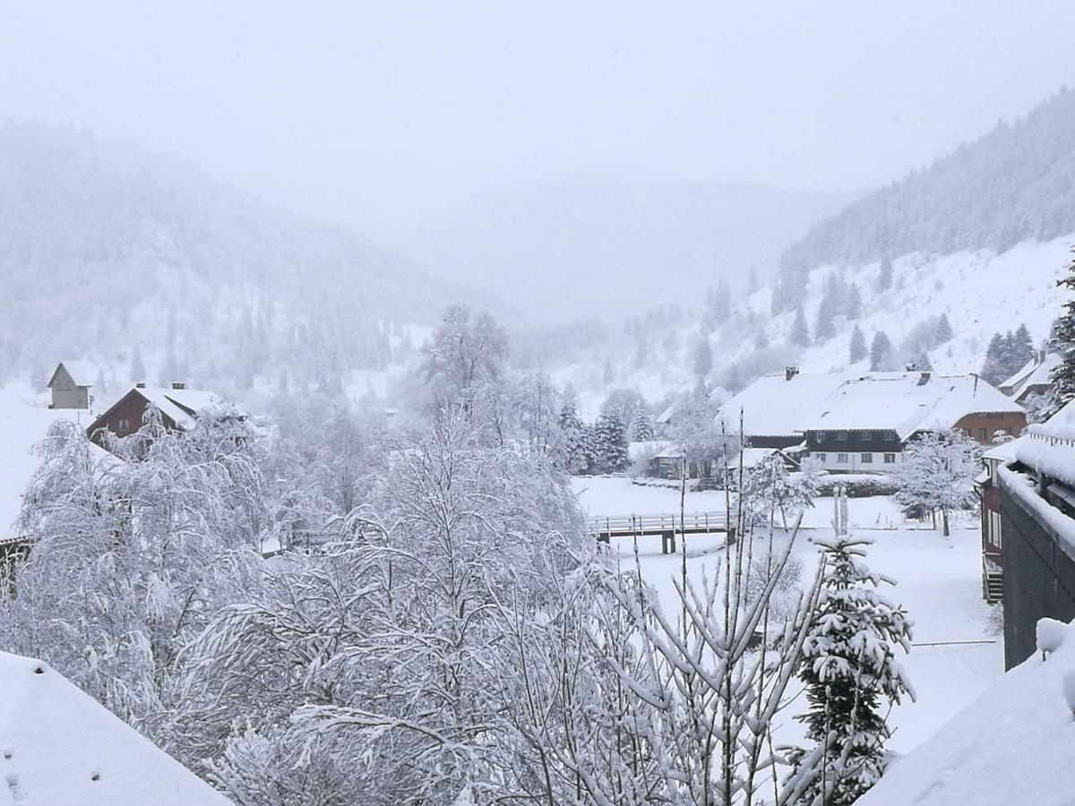 B1 Albmatte-Fewo Sauna, Hallenbad Aussenbecken Massagen Nebenan Menzenschwand-Hinterdorf Eksteriør bilde
